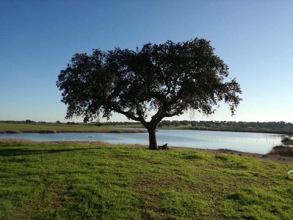 فيلا Monte Da Figueira Amareleja المظهر الخارجي الصورة