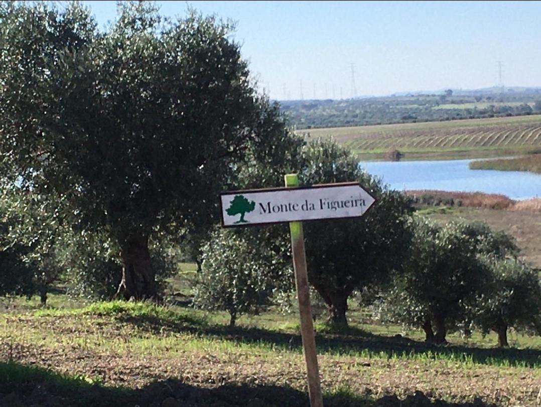 فيلا Monte Da Figueira Amareleja المظهر الخارجي الصورة