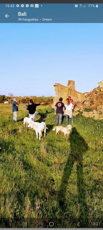 فيلا Monte Da Figueira Amareleja المظهر الخارجي الصورة