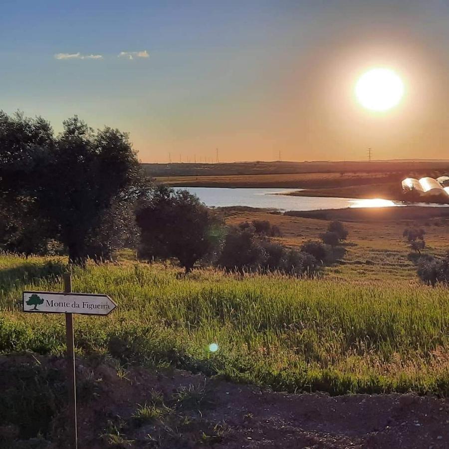 فيلا Monte Da Figueira Amareleja المظهر الخارجي الصورة